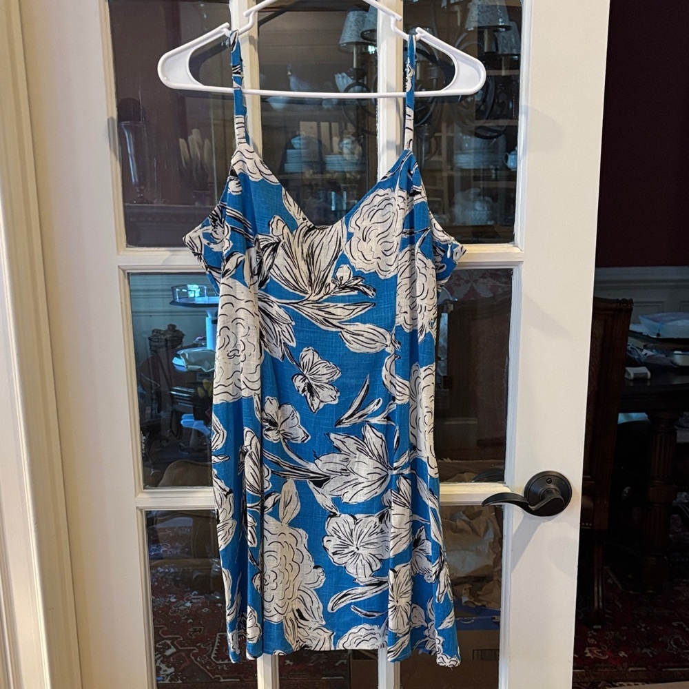 Zara Blue and White Floral Dress